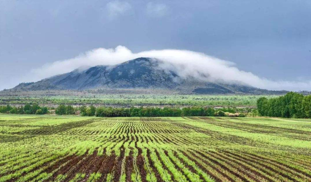 ETS(天津)生物科技發(fā)展有限公司